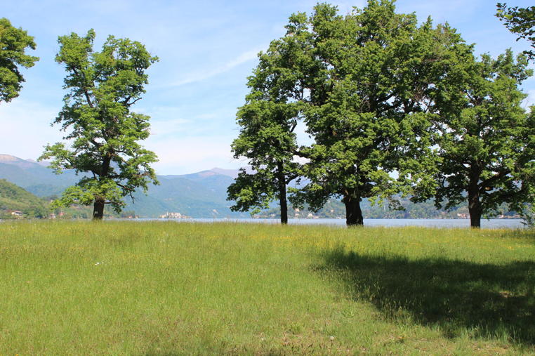 2 - Pella, Lago d’Orta – Appartamenti e villa con vista mozzafiato sul lago e sull’isola, spiaggia privata e posto barca. pella